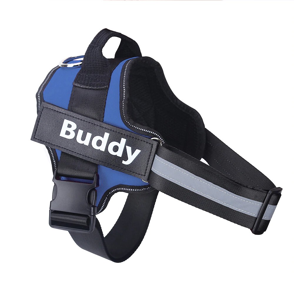 Harnais Prénom Anti Traction pour Chien Personnalisable