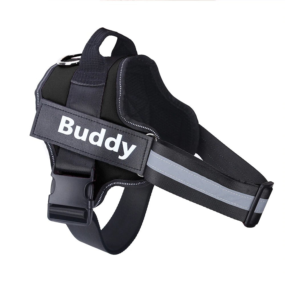 Harnais Prénom Anti Traction pour Chien Personnalisable