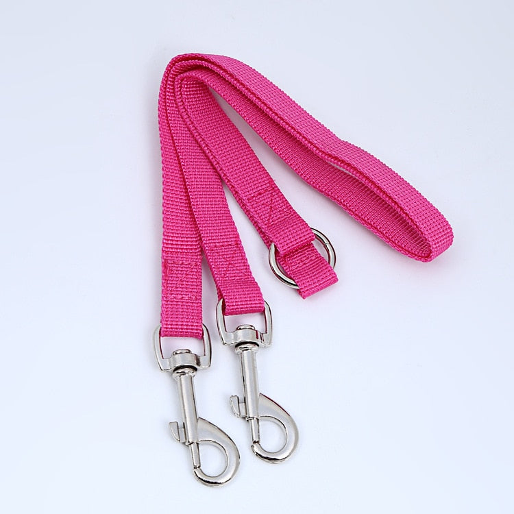 Laisse double pour chien