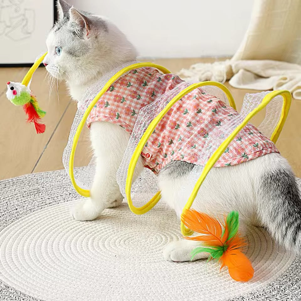 Spirale Pour Chats