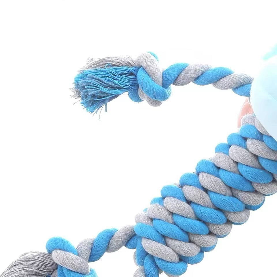 Jouet Pour Chien Durable Avec Tête En Peluche