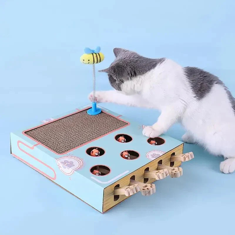 Boîte De Jeu 3en1 Pour Chats