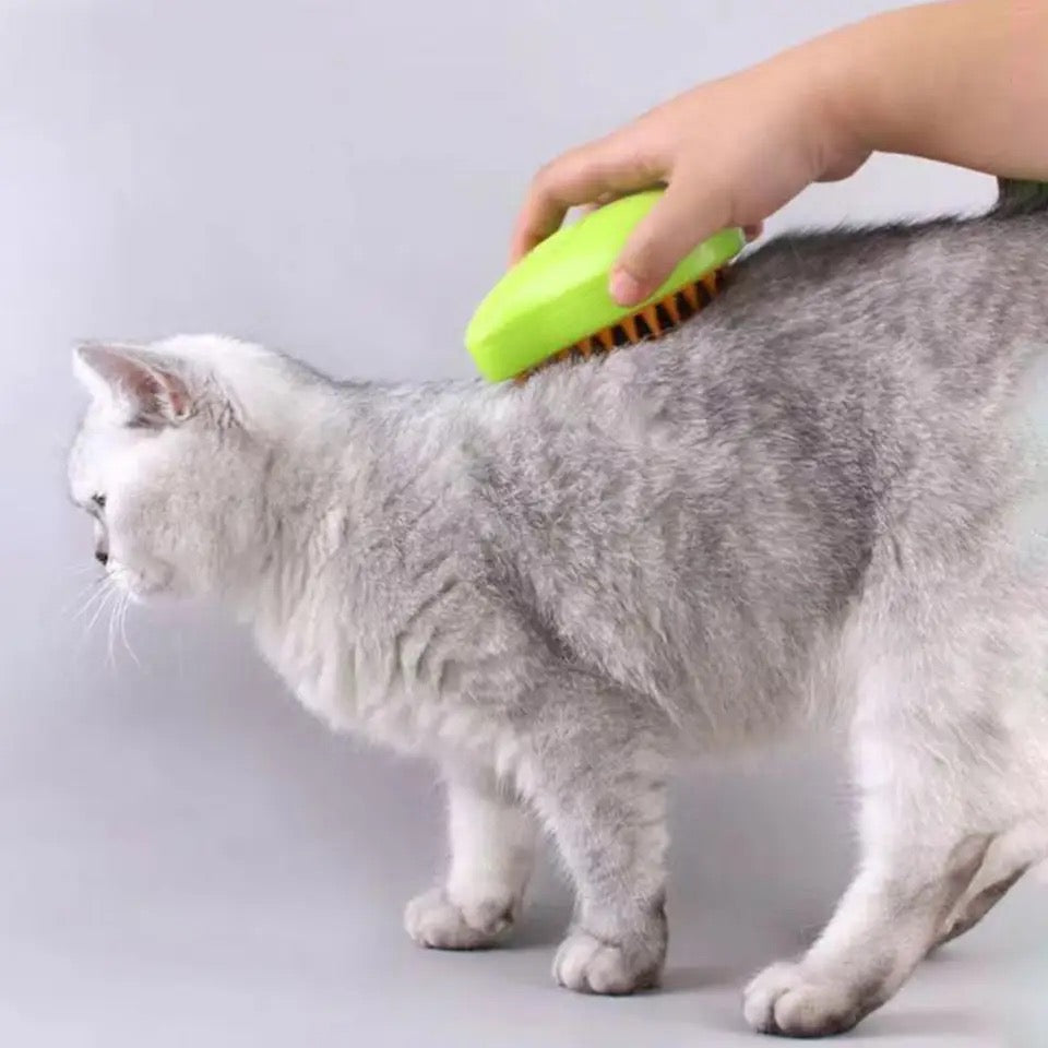 Brosse À Vapeur Pour Chats