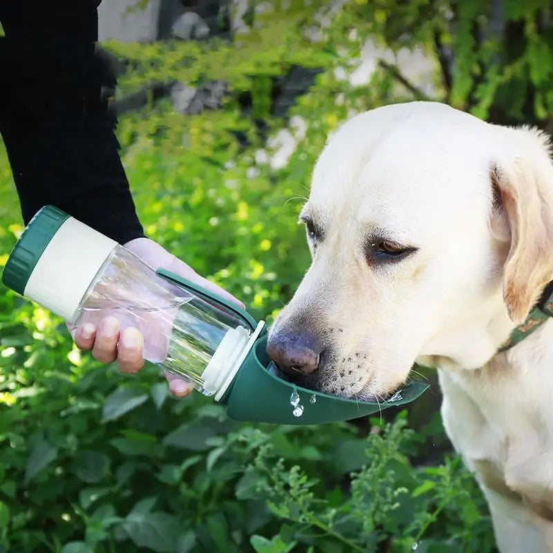 Bouteille D'eau Et De Friandises Premium Pour Chiens