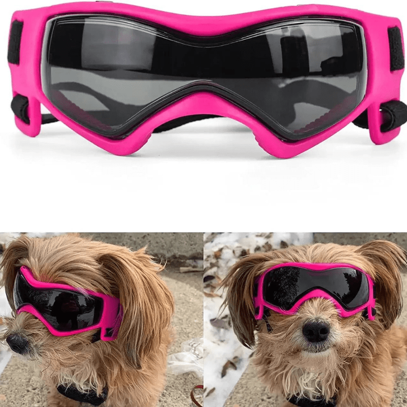 Lunette de protection pour petit chien