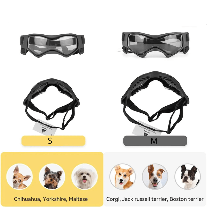 Lunette de protection pour petit chien