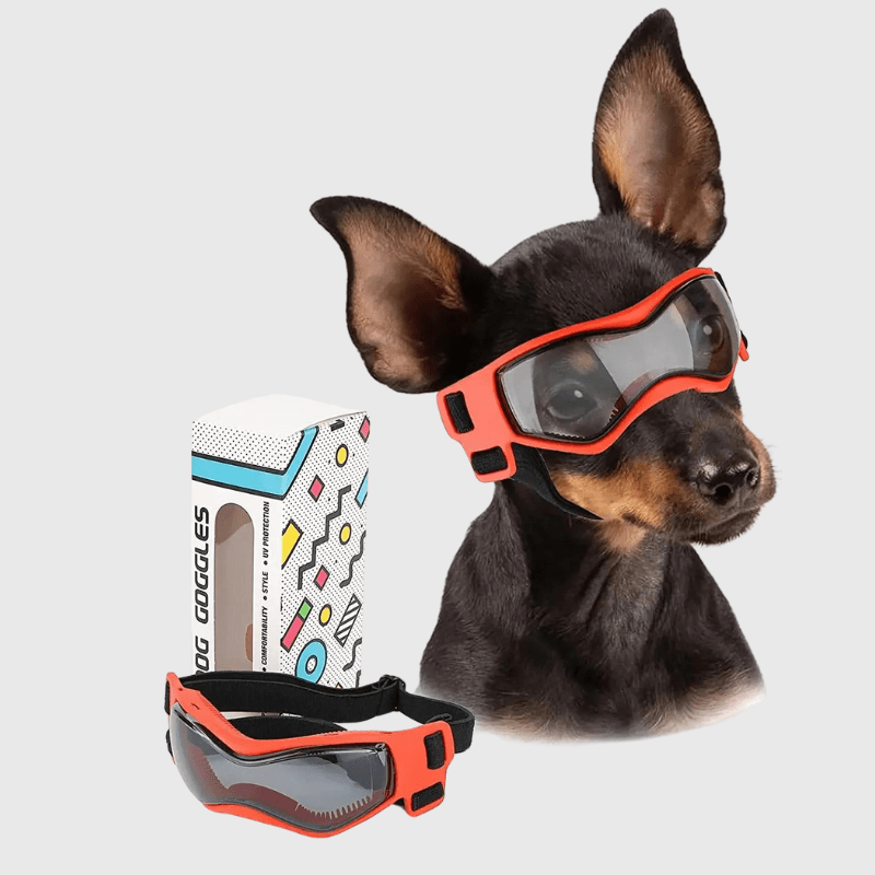Lunette de protection pour petit chien