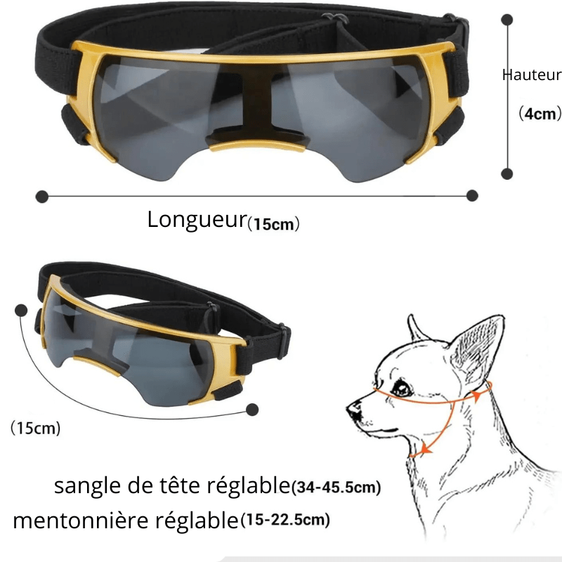 Lunette de protection pour petit chien