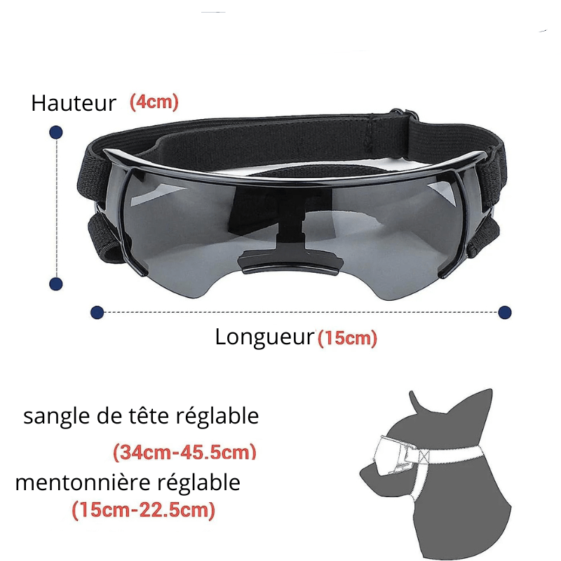 Lunette de protection pour petit chien