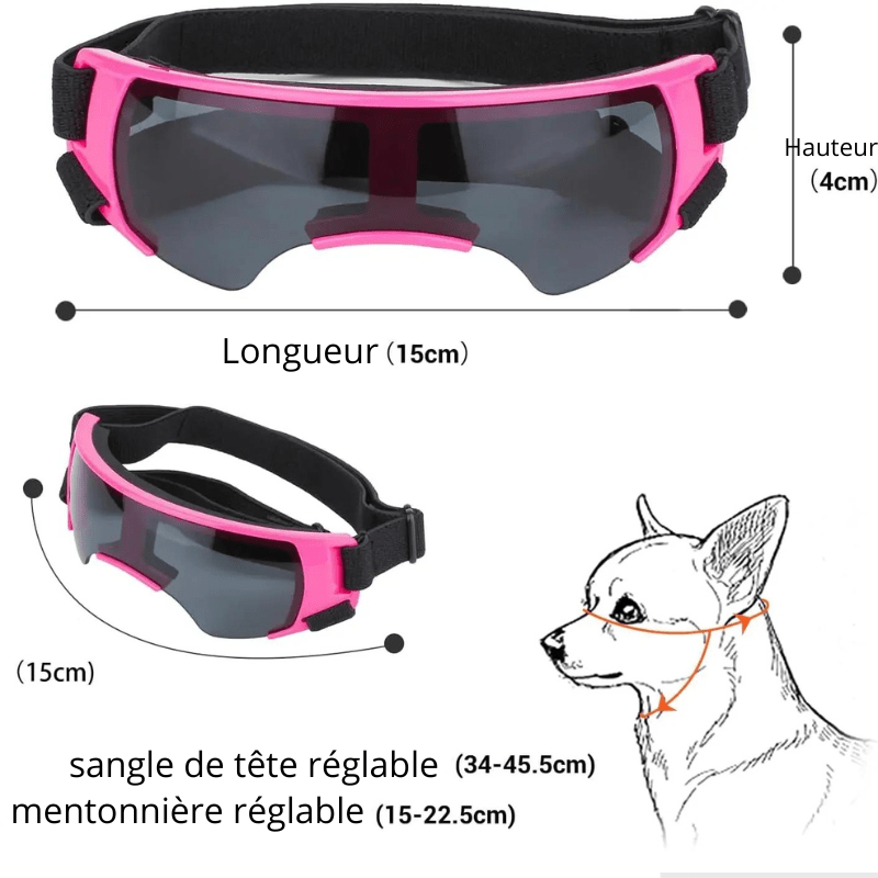Lunette de protection pour petit chien