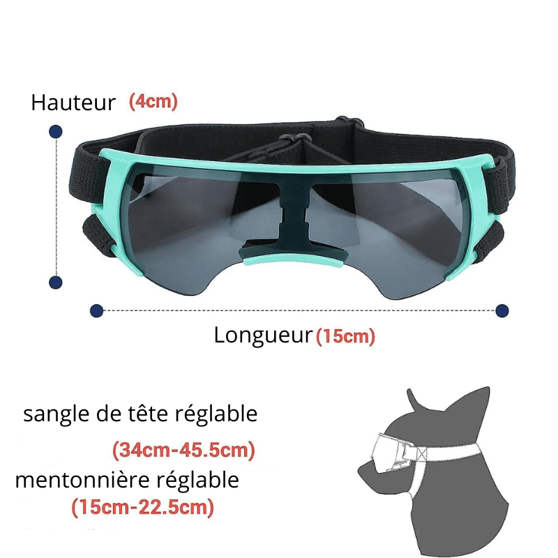Lunette de protection pour petit chien