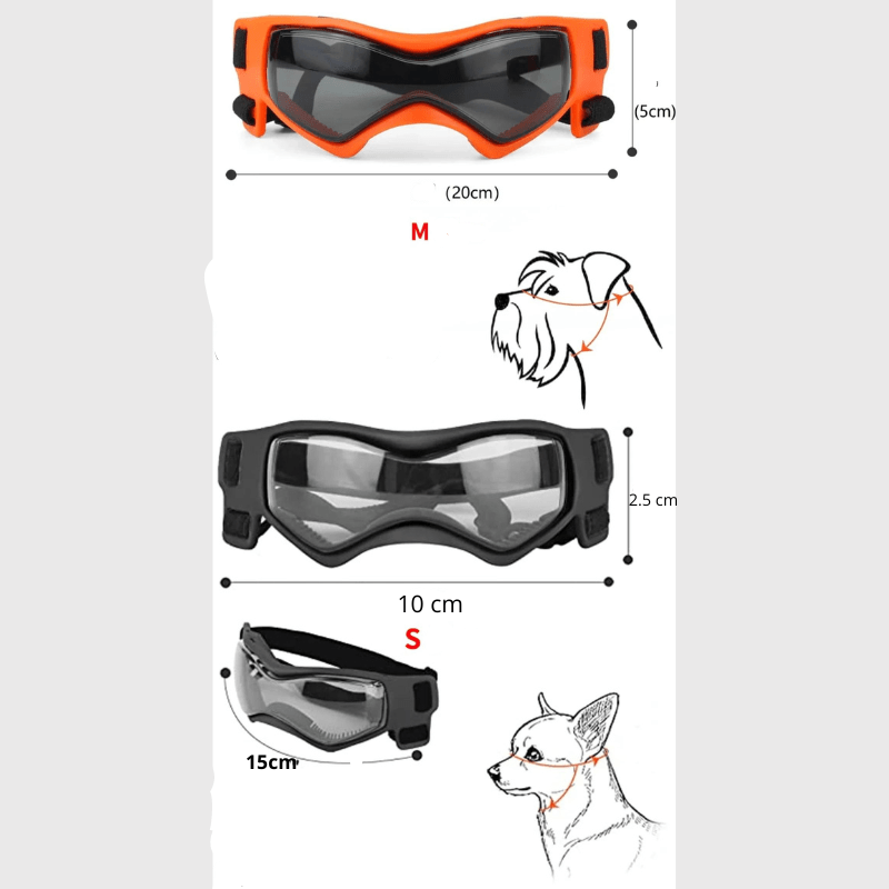 Lunette de protection pour petit chien