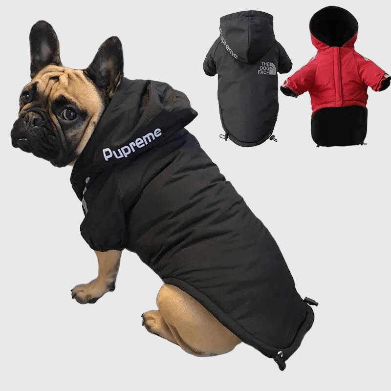 Manteau pour chien grand froid
