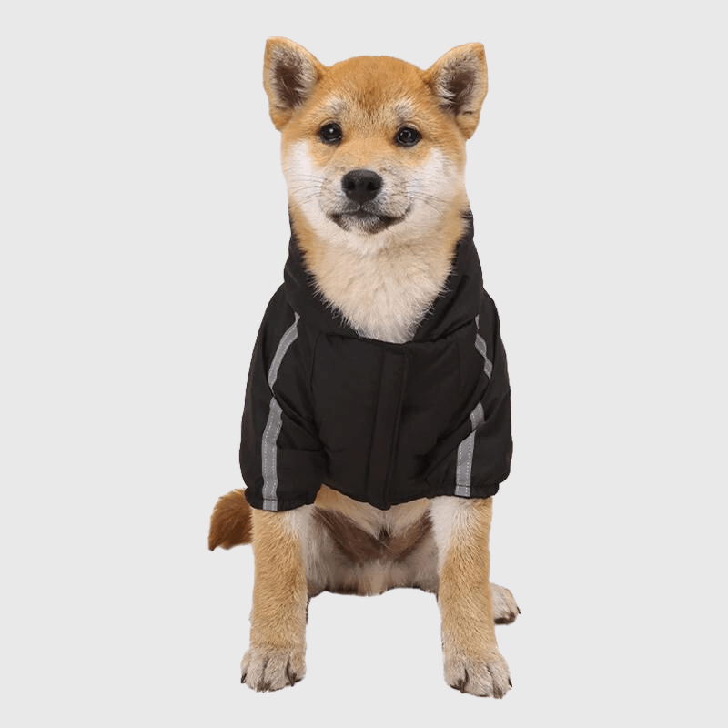 Manteau pour chien grand froid
