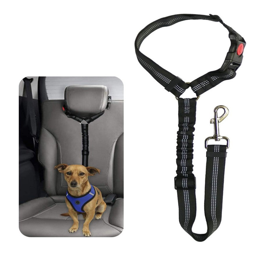 Ceinture De Sécurité Pour Voiture