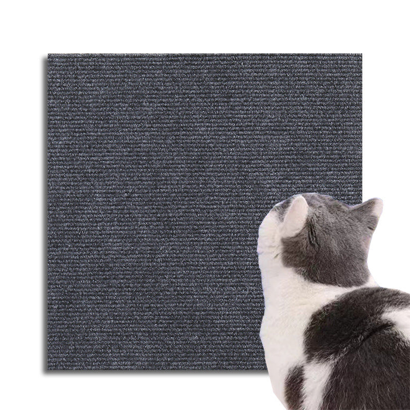 Protection Universelle Contre Les Griffes Des Chats