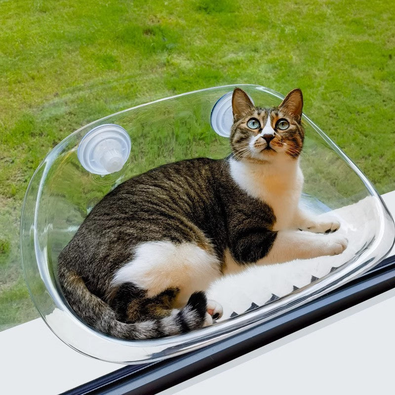 Fenêtre Bol Chats