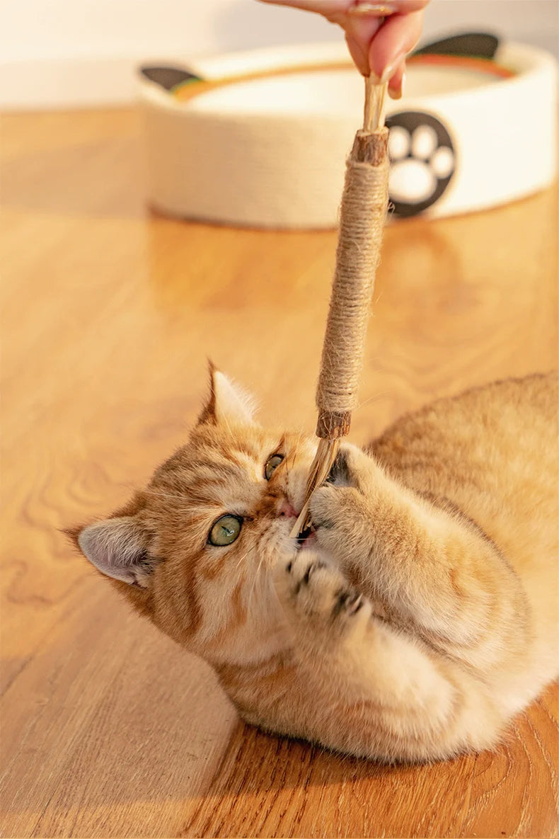 Bâtonnets De Nettoyage Des Dents Kitty