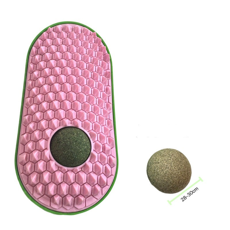 Herbe À Chat Avec Brosse Animaux Plus