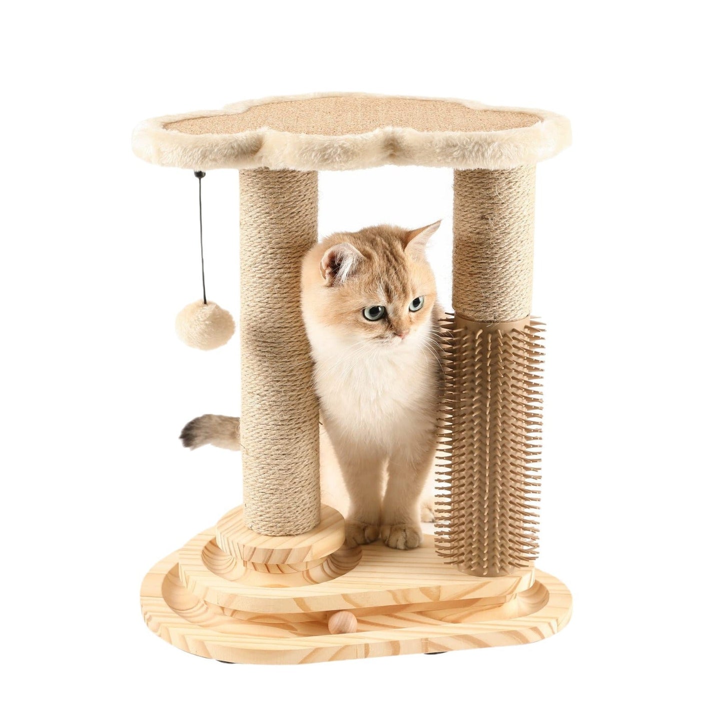 Salon de jeu et de grattage pour chats