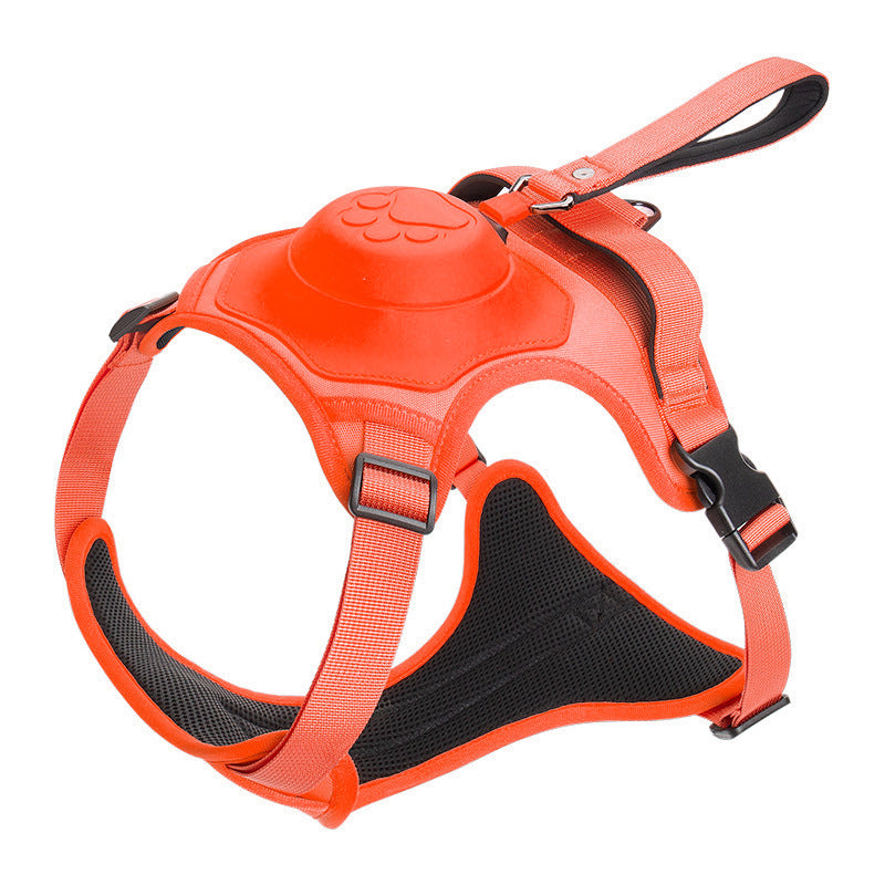 Harnais Et Laisse Anti-traction 2 En 1 Confortable Pour Chien