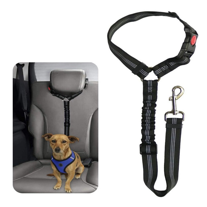 Ceinture De Sécurité Pour Voiture