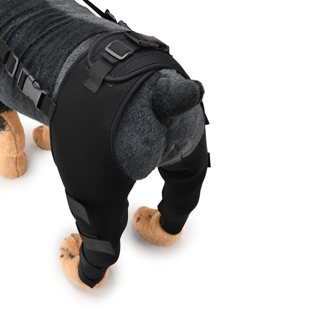 Orthèse Chien Patte Arrière Gros-Chien.com
