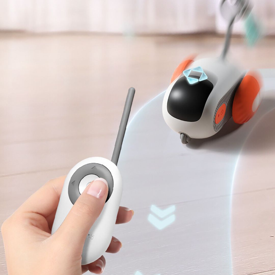 Jouet Pour Chat Télécommandé