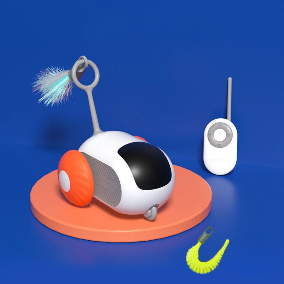 Jouet Pour Chat Télécommandé