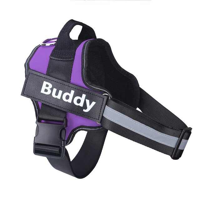 Harnais Prénom Anti Traction pour Chien Personnalisable