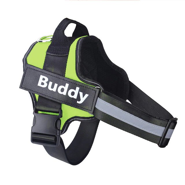 Harnais Prénom Anti Traction pour Chien Personnalisable