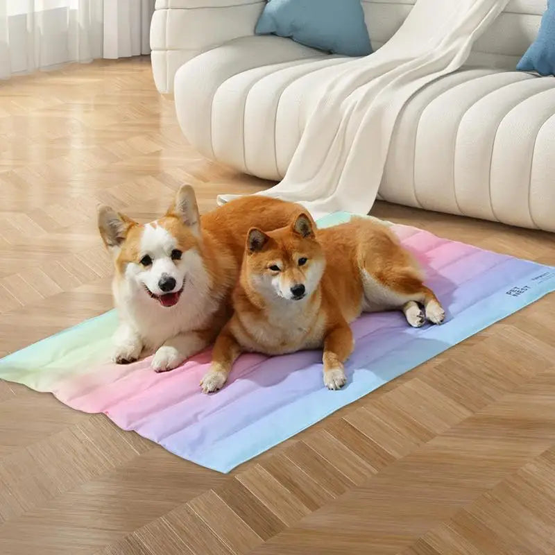 Tapis Réfrigérant Arc-en-ciel