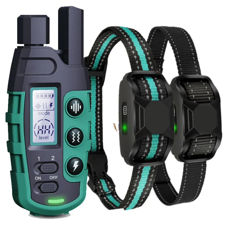 ROSTO - Collier de Dressage pour Chien avec Télécommande