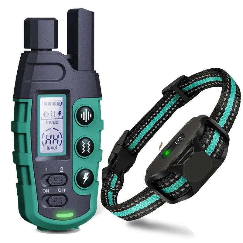 ROSTO - Collier de Dressage pour Chien avec Télécommande
