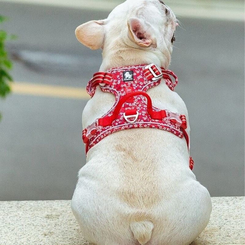 Harnais Truelove pour chien