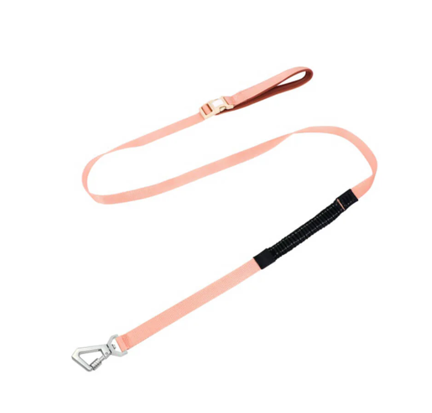Harnais Anti-traction pour Chiens avec Laisse Réglable Animaux Plus
