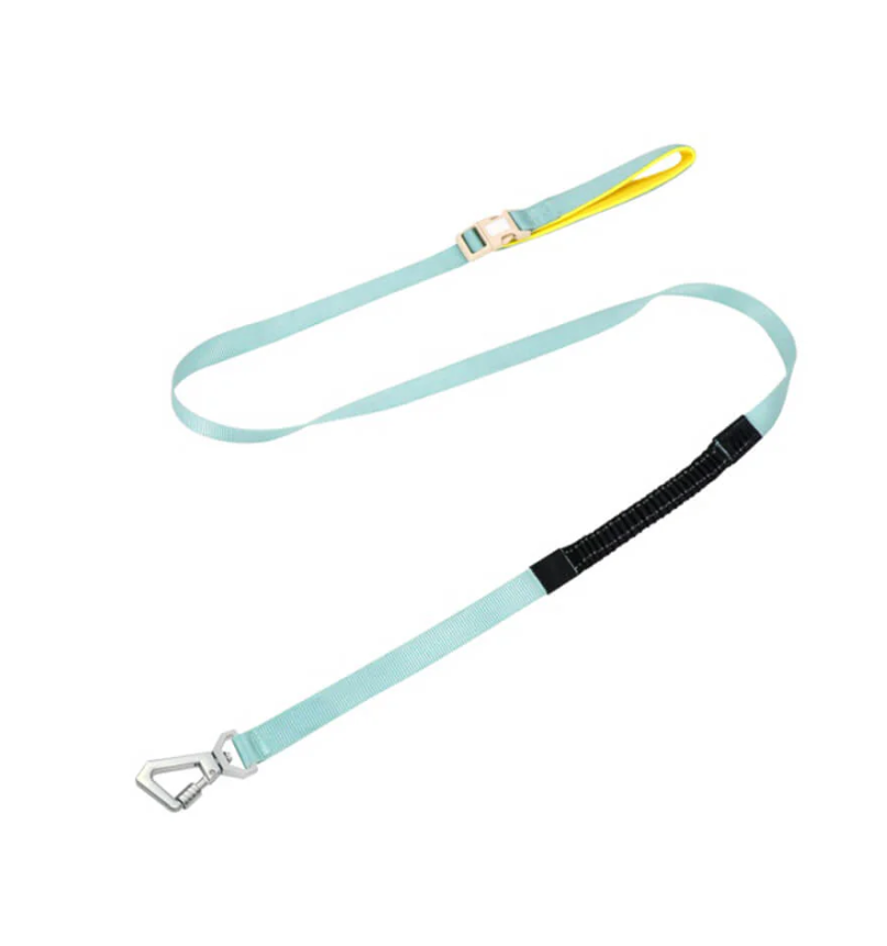 Harnais Anti-traction pour Chiens avec Laisse Réglable Animaux Plus