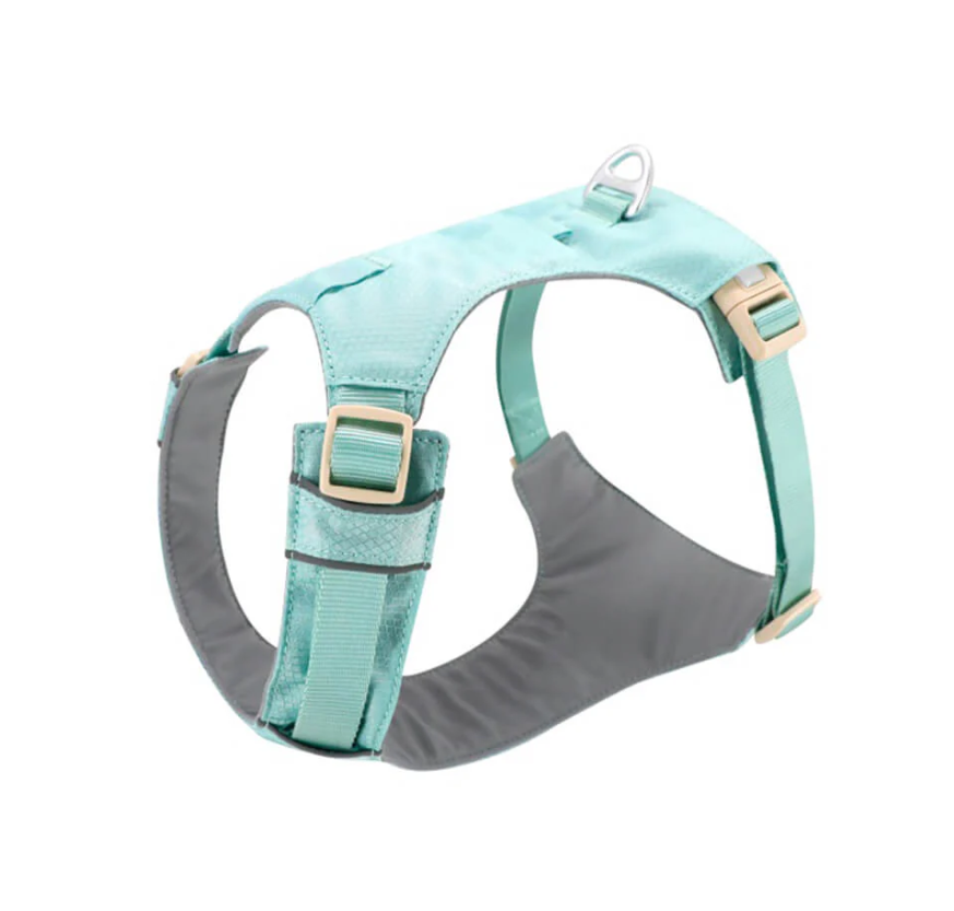 Harnais Anti-traction pour Chiens avec Laisse Réglable Animaux Plus