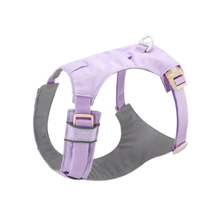 Harnais Anti-traction pour Chiens avec Laisse Réglable Animaux Plus