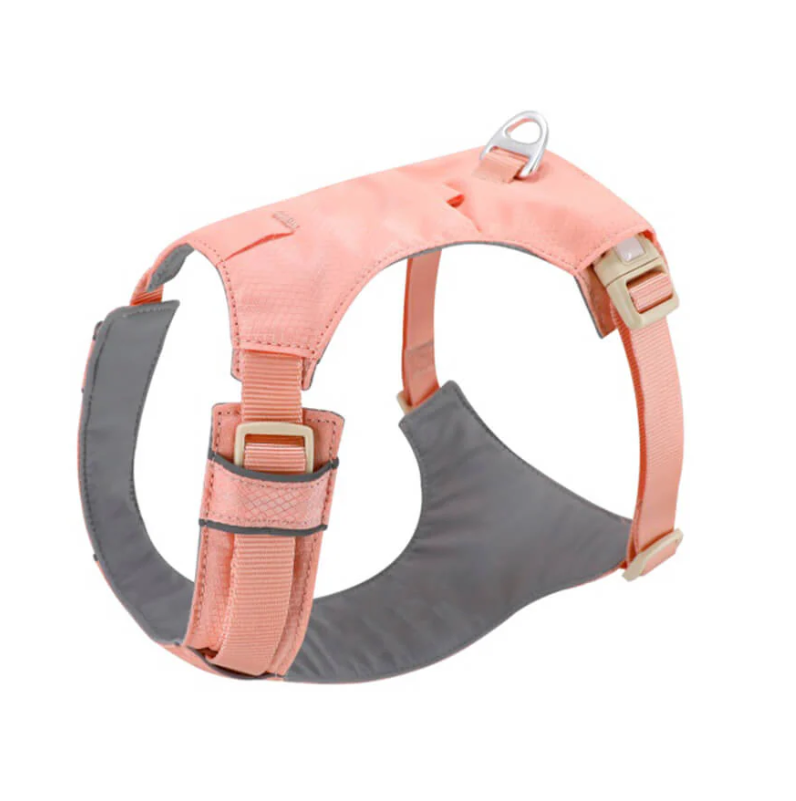 Harnais Anti-traction pour Chiens avec Laisse Réglable Animaux Plus