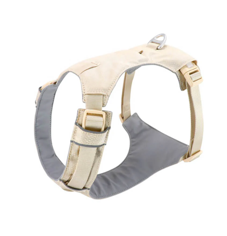 Harnais Anti-traction pour Chiens avec Laisse Réglable Animaux Plus