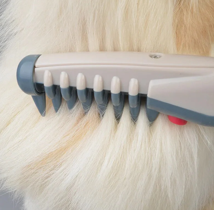 Tondeuse Électrique Pour Chiens Et Chats