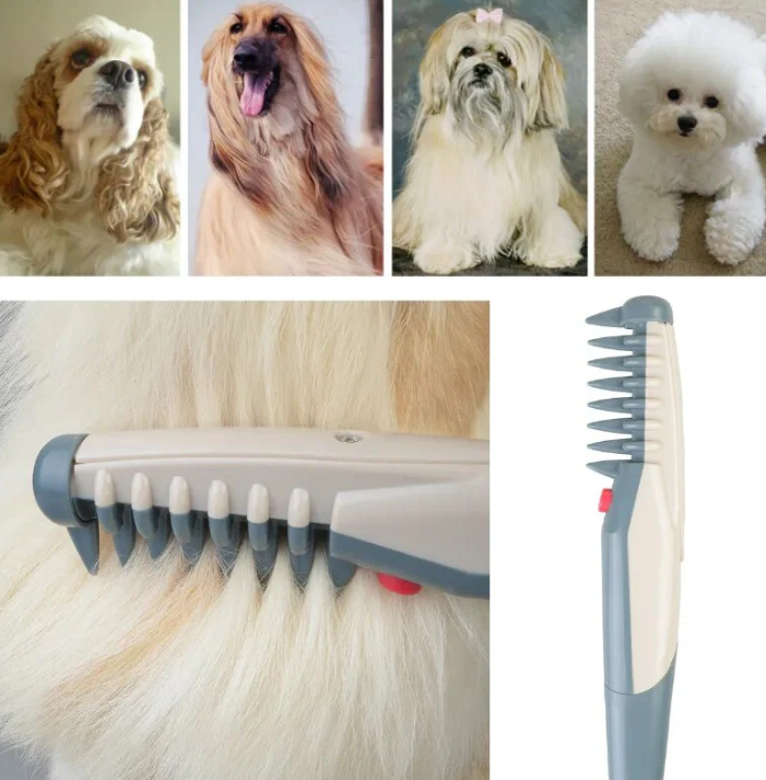 Tondeuse Électrique Pour Chiens Et Chats