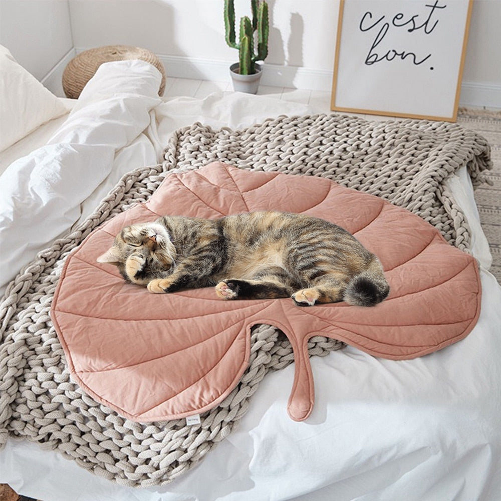 Couverture pour chien en forme de feuille