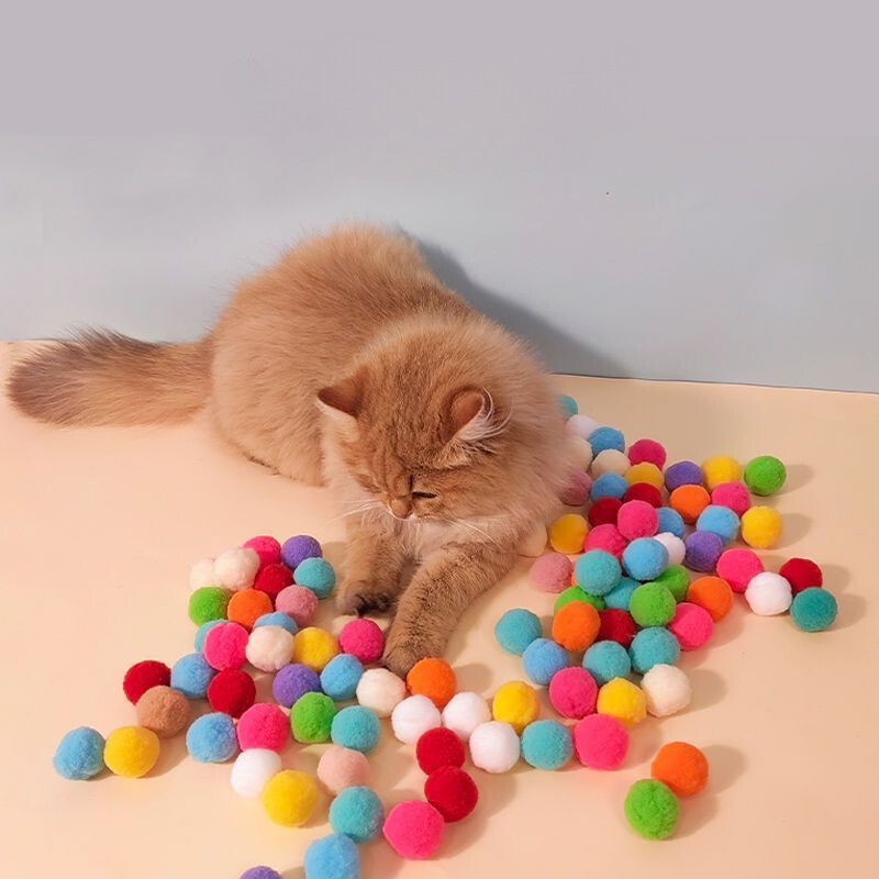 Canon À Jouets Pour Chats