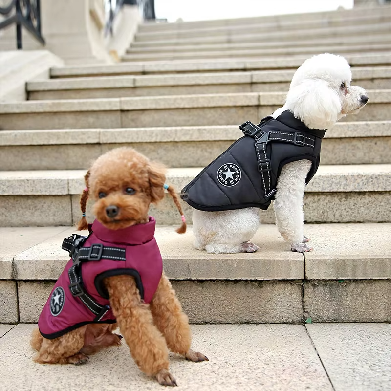 Veste pour Chien Coupe-vent et Imperméable avec Harnais Intégré Animaux Plus