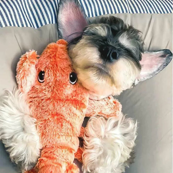 Homard Branlant - Jouet Interactif Pour Chiens