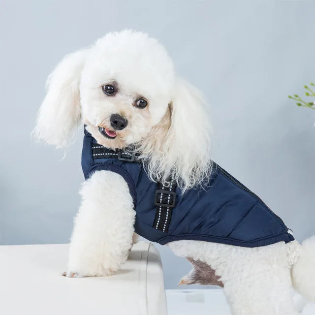 Veste pour Chien Coupe-vent et Imperméable avec Harnais Intégré Animaux Plus
