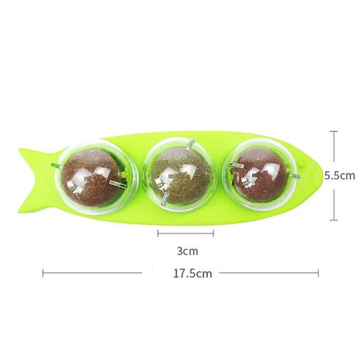 Herbe À Chat À Lécher Animaux Plus