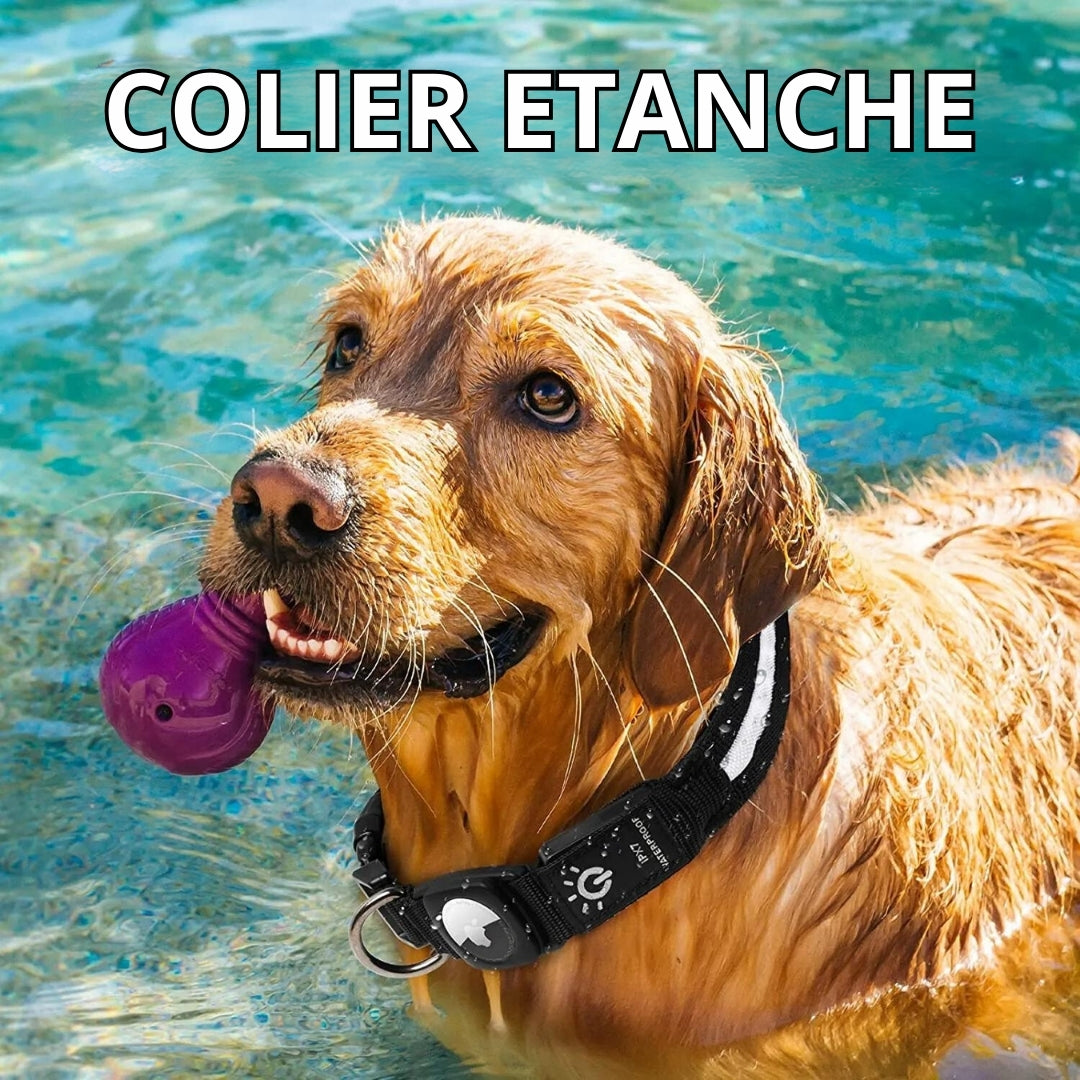 Collier AirTag Lumineux Rechargeable